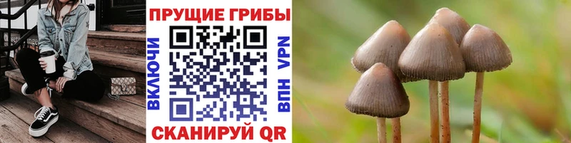Псилоцибиновые грибы Magic Shrooms  купить   Лосино-Петровский 