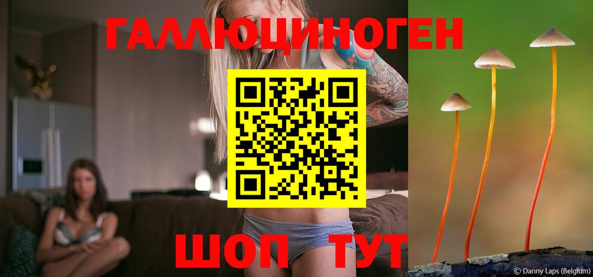 Галлюциногенные грибы ЛСД  Вход с VPN  где продают   Лосино-Петровский  Псилоцибиновые грибы GOLDEN TEACHER 